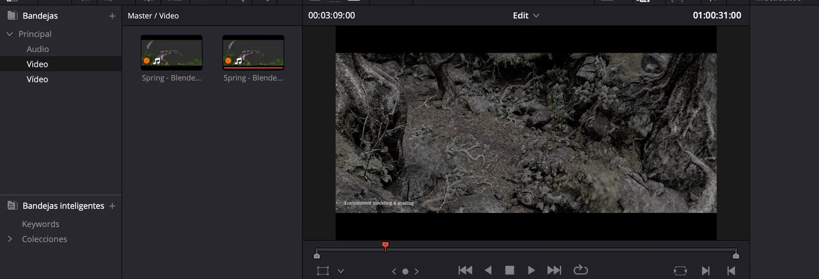 The DaVinci Resolve media pool with the downloaded clip in the “Video” bin