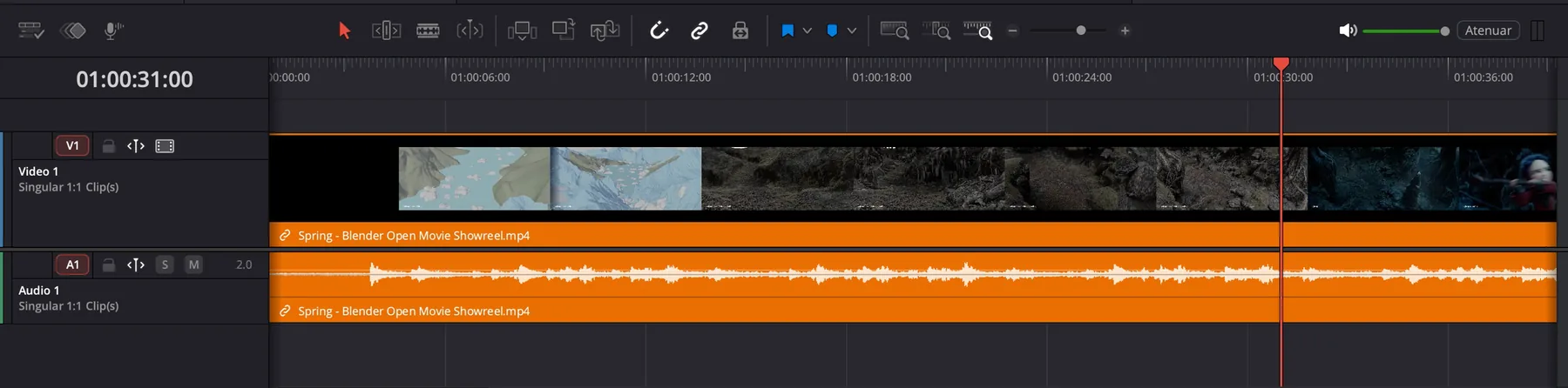 The DaVinci Resolve timeline with the downloaded clip