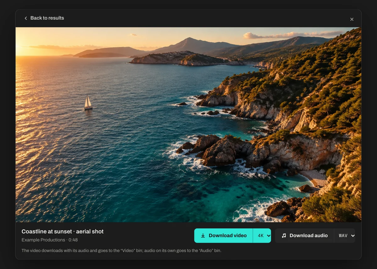 The Pull and Bin floating viewer with the “Download video” and “Download audio” buttons